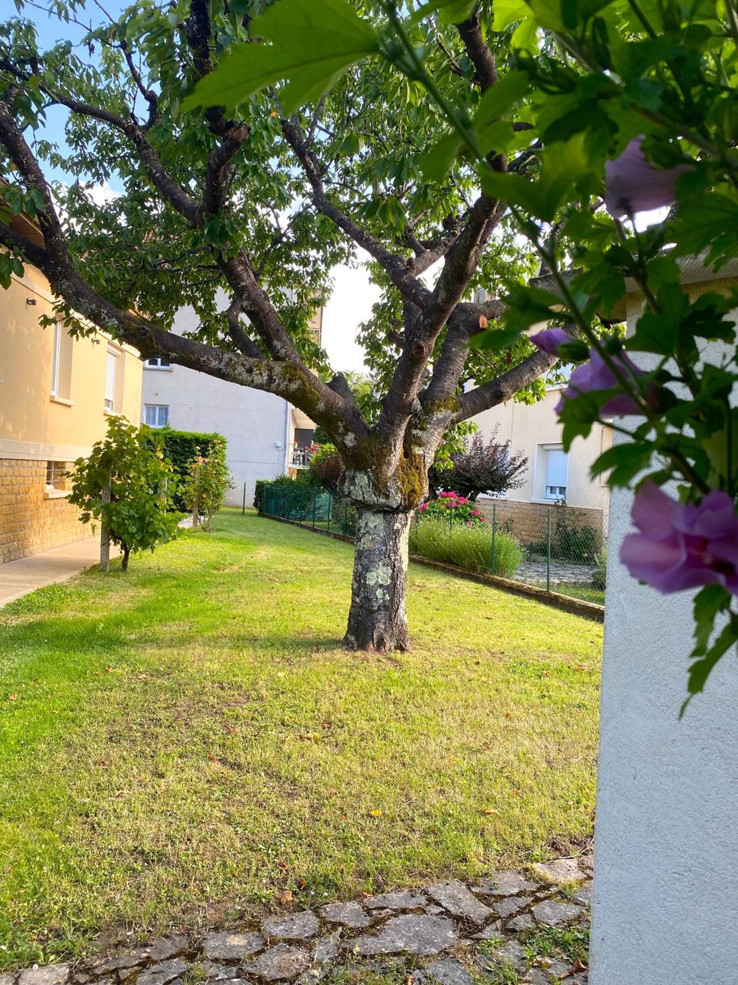 T3 Neuf, Parking & Garage Prive, Proche Centre Villa Sarlat-la-Canéda Eksteriør bilde